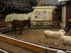 -HERRE·FARM 赫尔露营农场·团建聚会包场