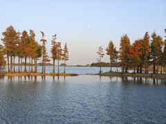 -贡湖湾湿地公园