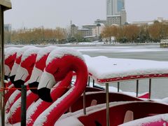 -莲花池公园