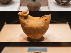 -云南省博物馆