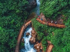 -广州白江湖森林公园