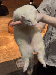 -Zoolung Zoolung动物主题公园(海信广场店)