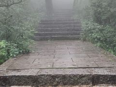 -牛背梁国家森林公园