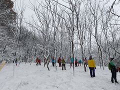 -紫金山山顶公园
