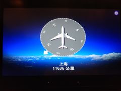 -约翰·菲茨杰拉德·肯尼迪国际机场