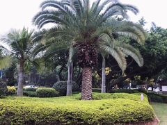 -白鹭洲公园
