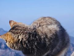 -终南山南五台景区