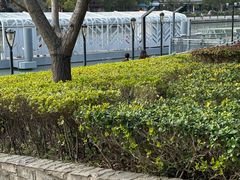 -苏州河梦清园环保主题公园