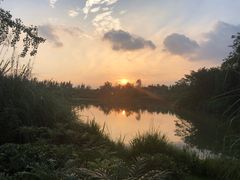 -白鹭湾湿地公园