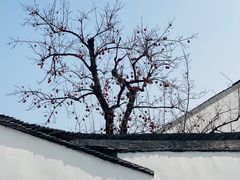 -北寺塔