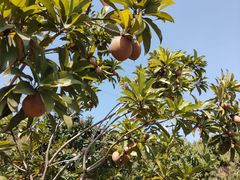 -中国移动南方基地