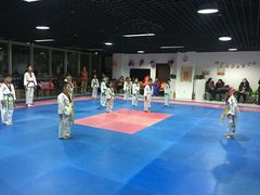 -陈中跆拳道(中关村馆)