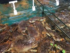 -海景壹号大酒店(惠钱路店)