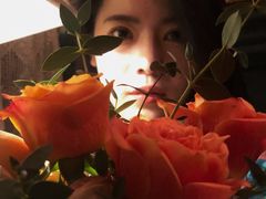 -一棵树咖啡馆(泉乐坊店)