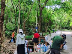 -火炉山森林公园
