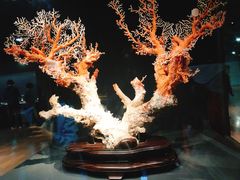 -台北故宫博物院