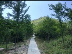 -鹫峰国家森林公园