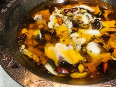 -雲蜀龙阁·金牌水煮鱼(方庄店)