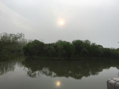 -溱湖国家湿地公园