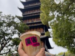 -常熟方塔园