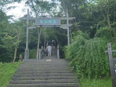 -洈水景区