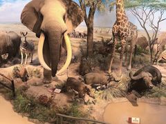 -陕西自然博物馆