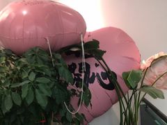 -嗨辣小聚·盘锦河蟹·海鲜烧烤龙虾(盘锦十年好店)