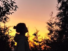 -长虫山生态公园风景林