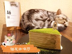 -猫友咖啡店(玉林西路店)