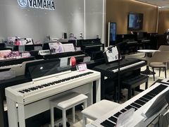 -雅马哈乐器专卖店(广州旗舰店)