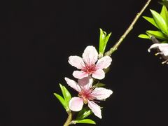 -滨湖塘西河公园