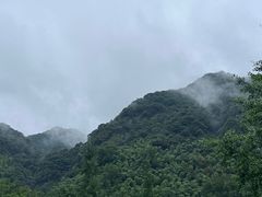 -五泄景区