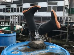 -大澳
