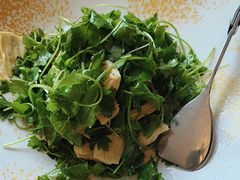 -便宜坊烤鸭店(科创店)