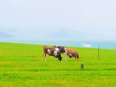 -莫日格勒旅游景区