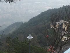 -缙云山景区