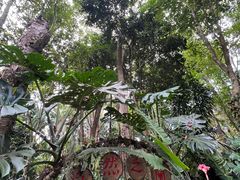 -中国科学院西双版纳热带植物园