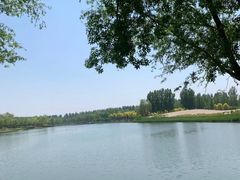 -东郊湿地公园