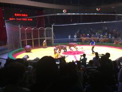 -西安秦岭野生动物园