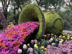-杭州植物园