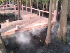 -东湖落雁景区