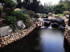 -诗经里