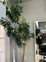 -HaLo hair studio