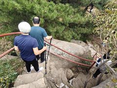 -鲁山国家森林公园