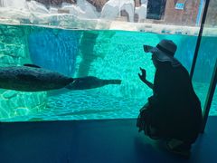 -秦皇岛乐岛海洋王国