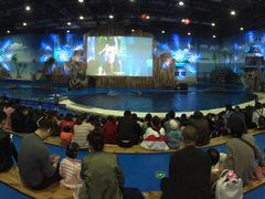 -华夏文旅海洋公园