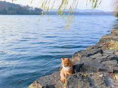 -苏堤停车场
