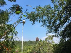 -五龙客家风情园