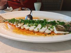 -船歌·鱼水饺青岛菜(闽江二路店)