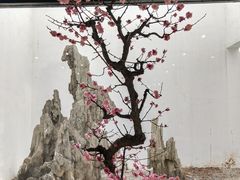 -石家庄市植物园
